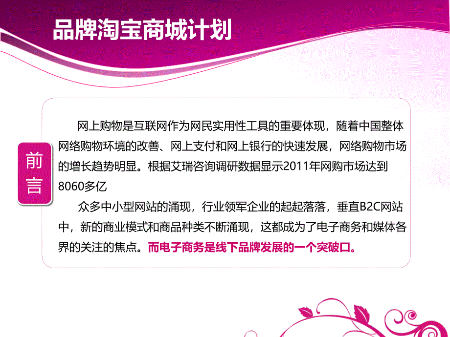 广州品牌内衣天猫旗舰店电子商务外包托管计划书_第2页