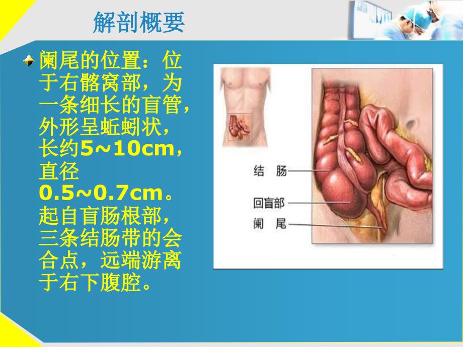 急性阑尾炎的诊断及治疗_第2页