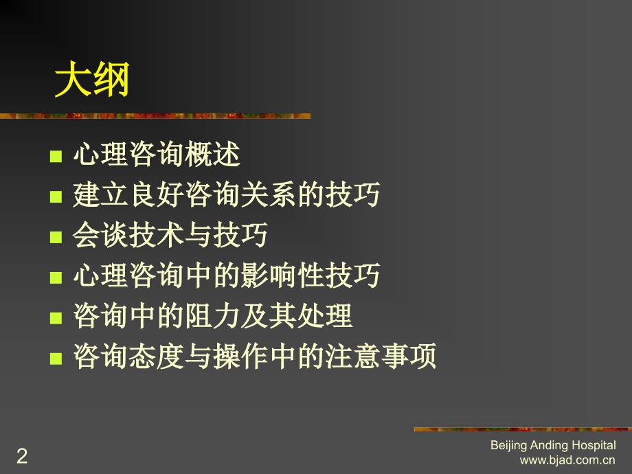 心理咨询的基本技法与注意事项_第2页