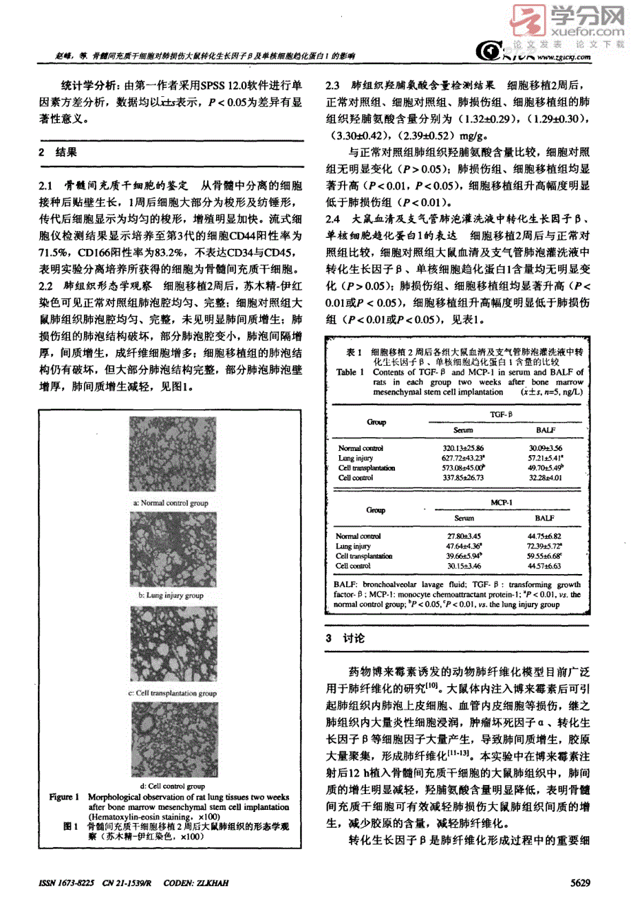 骨髓间充质干细胞对肺损伤大鼠转化生长因子β及单核细胞趋化蛋白1的影响_第3页