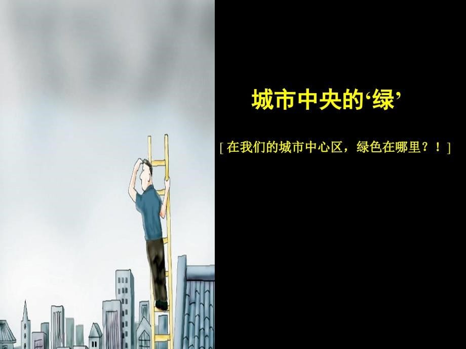 青铜骑士-2006年安徽淮南民生淮河新城项目整合推广案_第5页