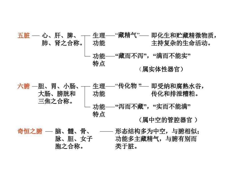 辽宁中医药大学中医基础理论(脏象)课件_第5页