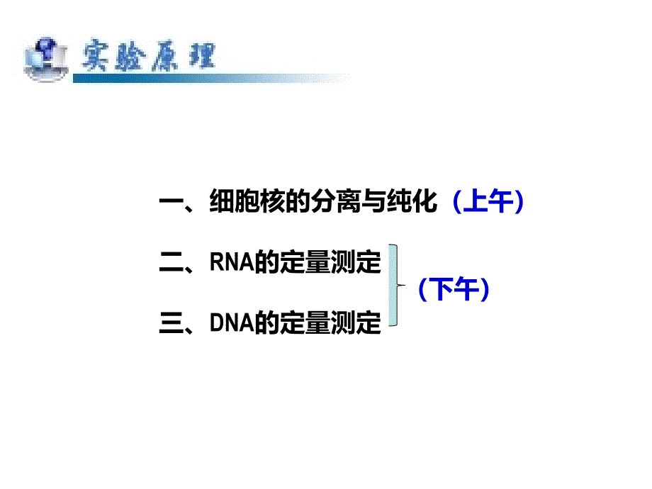 细胞核的分离与纯化及RNA、DNA的定量测定-20121201_第3页