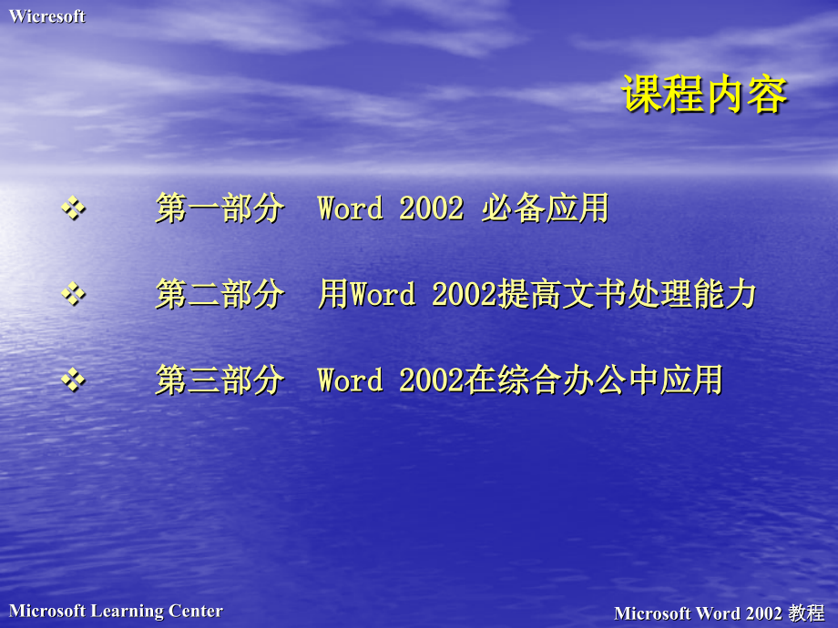 微软公司Word2002-66P_第2页