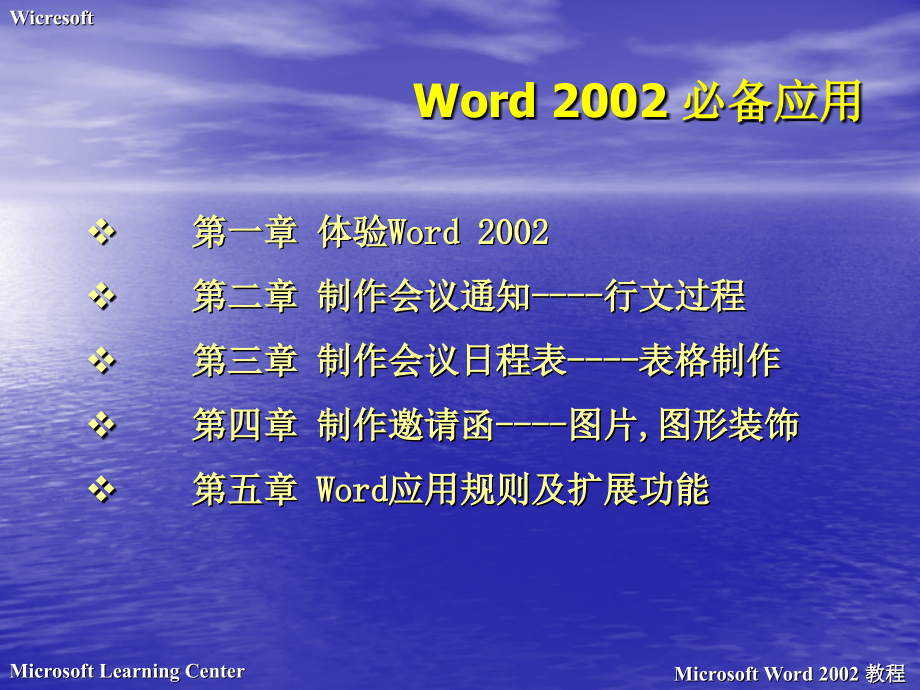 微软公司Word2002-66P_第3页