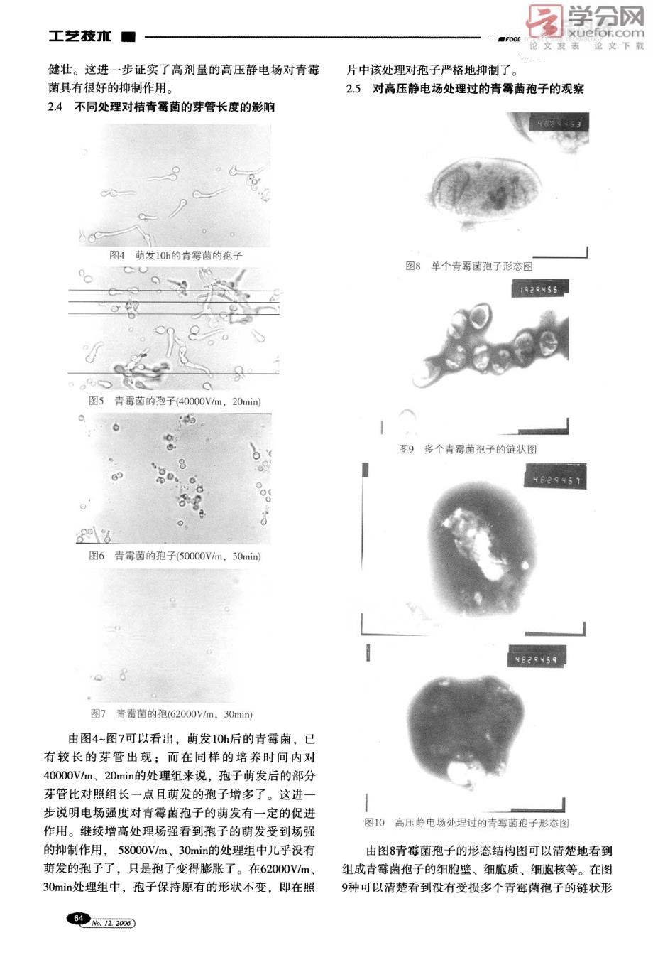 高压静电场对桔青霉菌的作用效果与机理_第4页