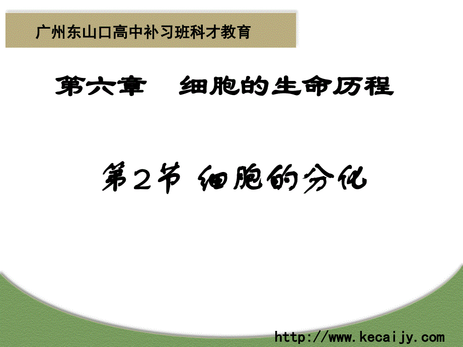 广州东山口高中补习班科才教育高中生物细胞的分裂_第1页