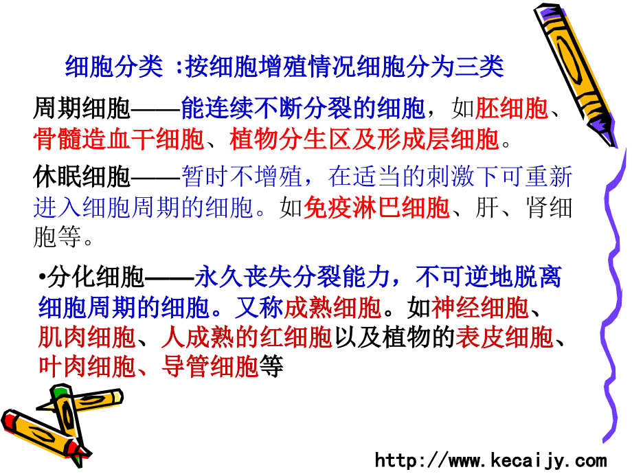 广州东山口高中补习班科才教育高中生物细胞的分裂_第4页