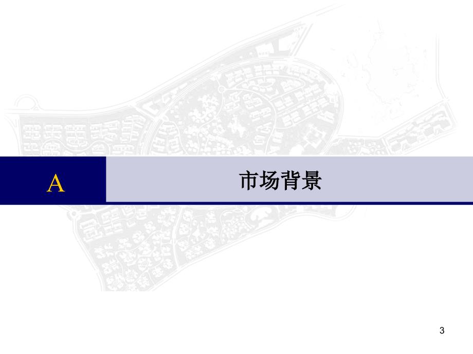 鲁能大连金石滩项目产品定位汇报_第3页