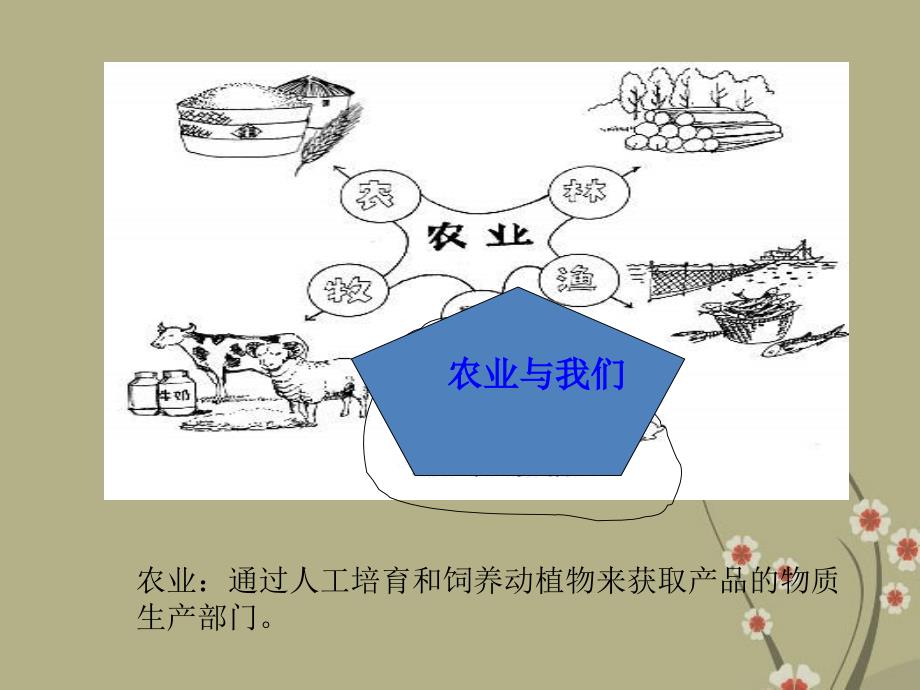 山东省兖州市漕河镇中心中学八年级地理上册《农业的分布》课件商务星球版_第2页