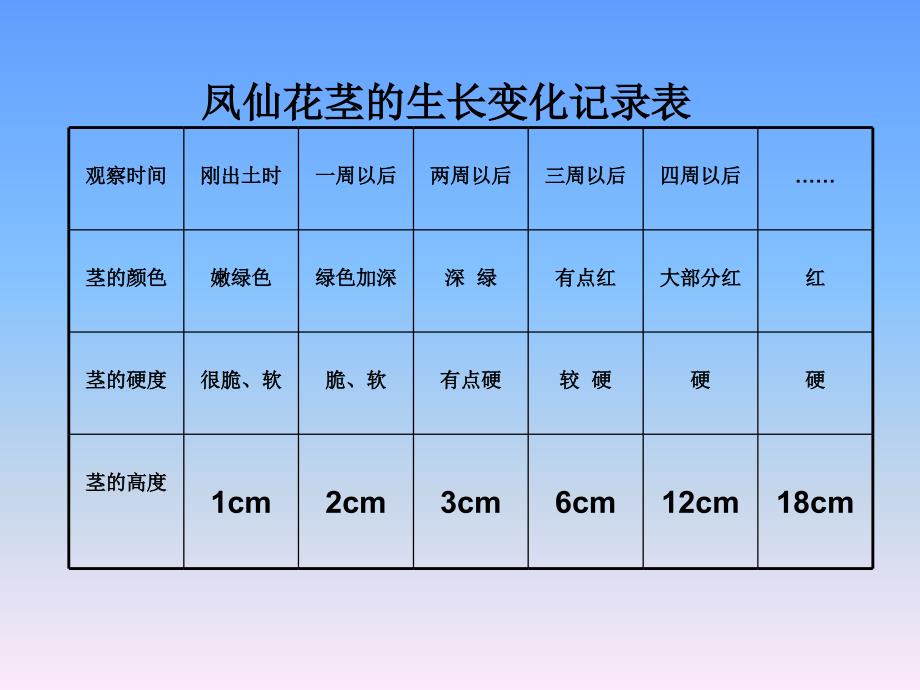 凤仙花茎的生长变化记录_第1页