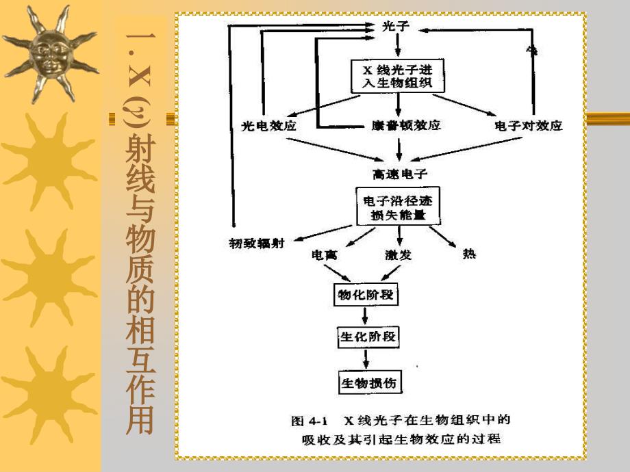 辐射与物质的相互作用_第3页