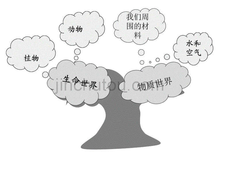 小学科学三年级上册科学知识图解_第3页