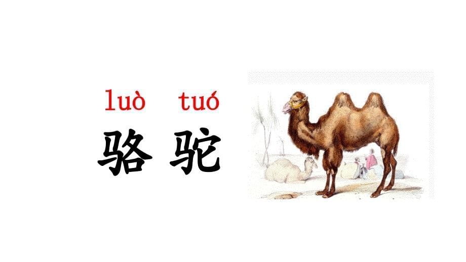 2017新人教版部编人教版二年级语文上册语文园地七_第5页