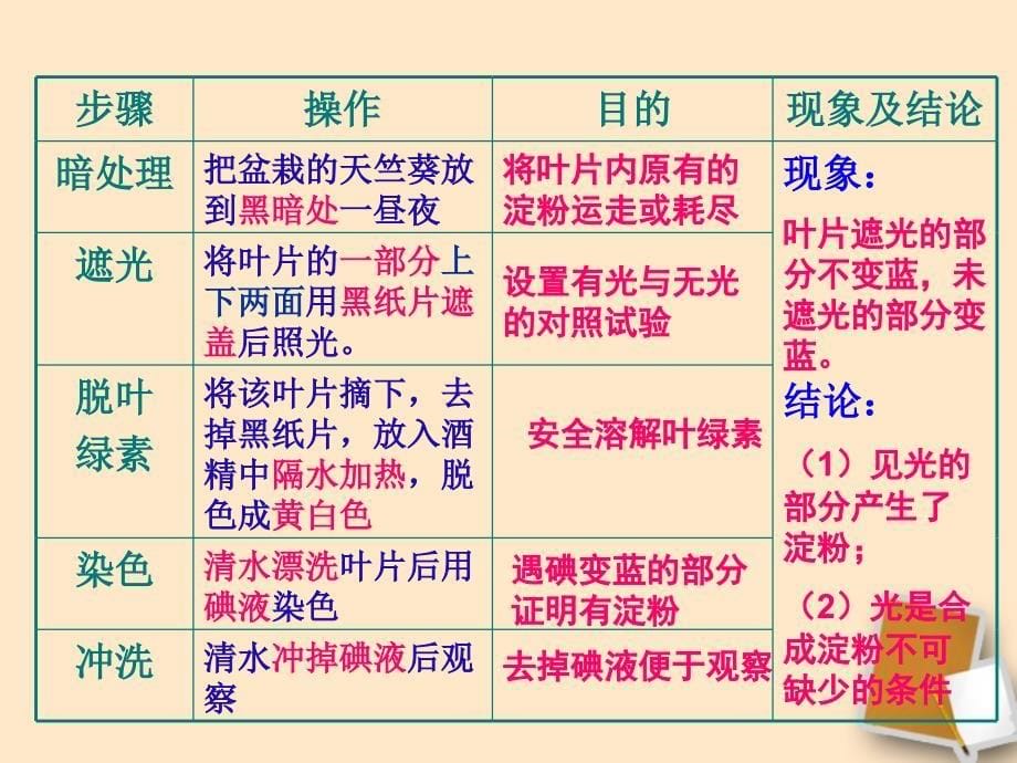 绿色植物是生物圈中有机物的制造者》专题复习课件_第5页