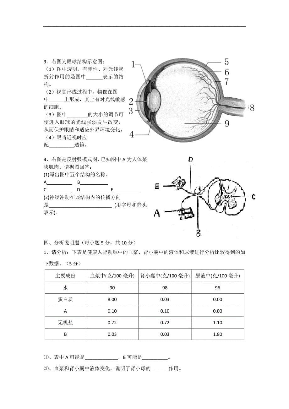 人教版七年级生物下册期末试卷及答案.doc_第5页