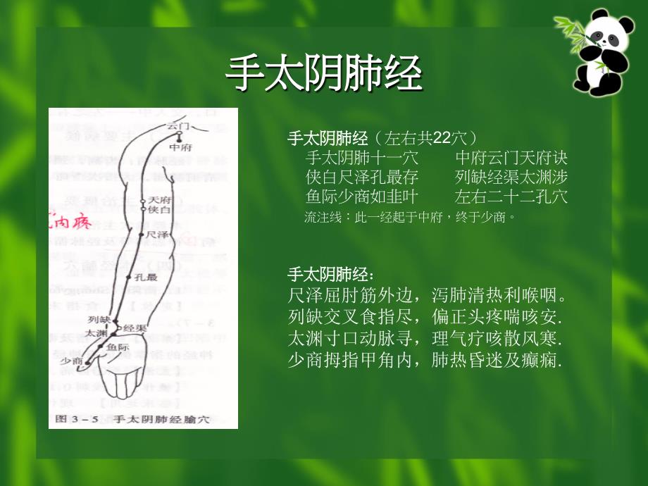 马熙云经络穴位口诀_第2页