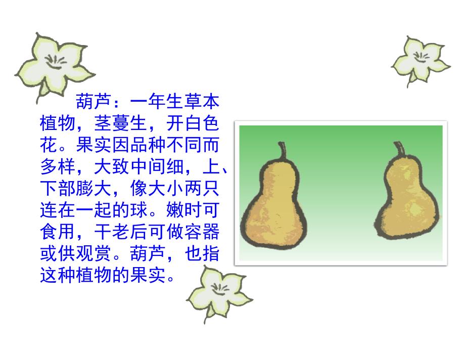 2017新人教版部编人教版二年级语文《我要的是葫芦》课件二_第2页