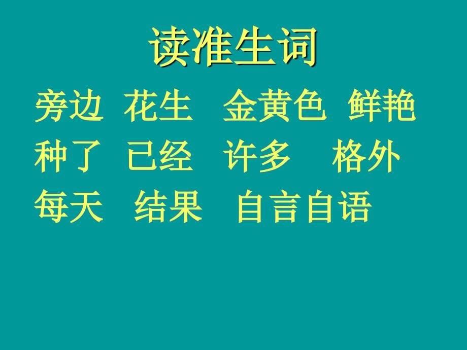 一上语文《小松鼠找花生》ppt课件3_第5页