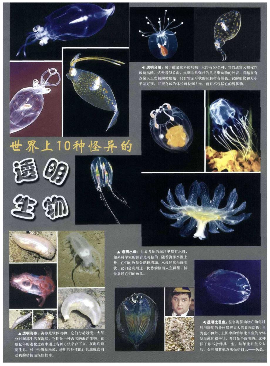 世界上110种怪异的透明生物_第1页