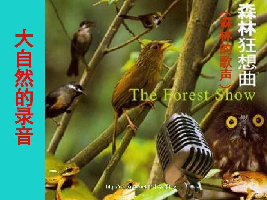 三年级音乐上册 第4课 森林的歌声课件 湘艺版_第5页