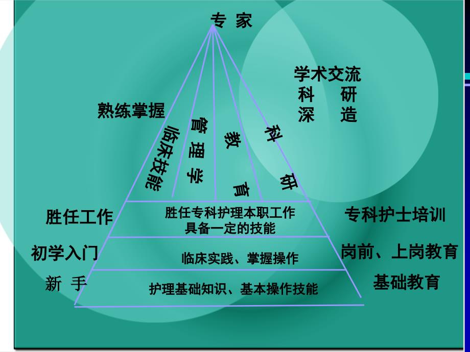 (课件)-江苏省年轻护士素质提高行动-暨年轻护士临床工作能力考核_第4页