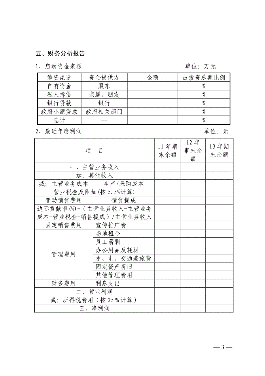 市电子商务创业项目计划书模板_第3页