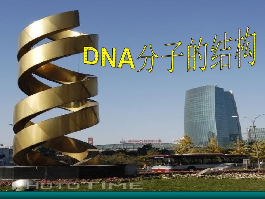 DNA分子结构和复制附件_第1页