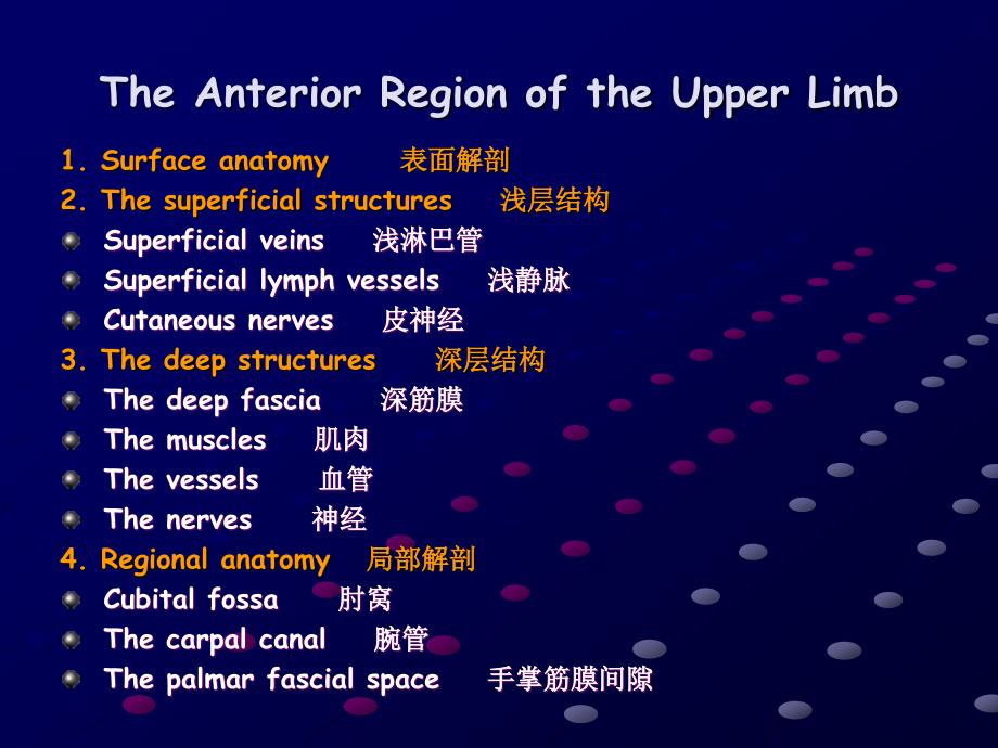 The Anterior Region of the Upper Limb (1)_20150418204422_第3页