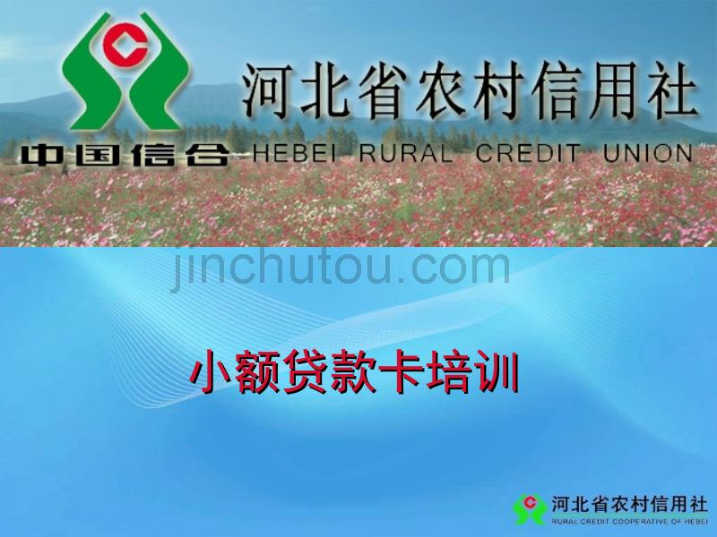 信用社小额贷款卡培训讲义_第1页