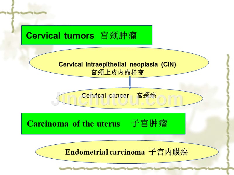 子宫肿瘤-妇产科课件_第2页