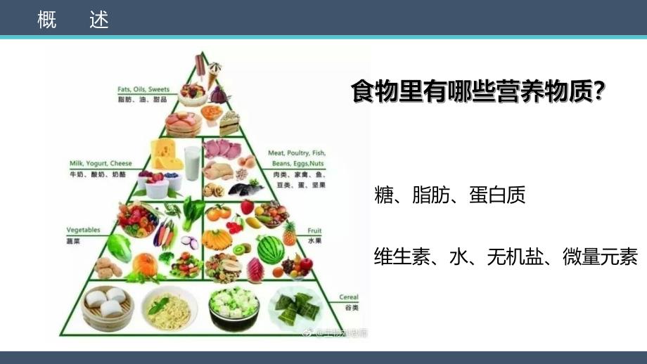 消化系统-医学课件_第2页