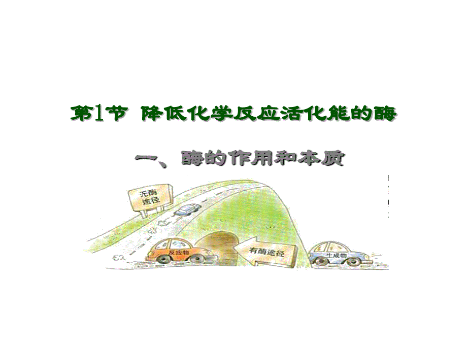 降低化学反应活化能的酶_第4页