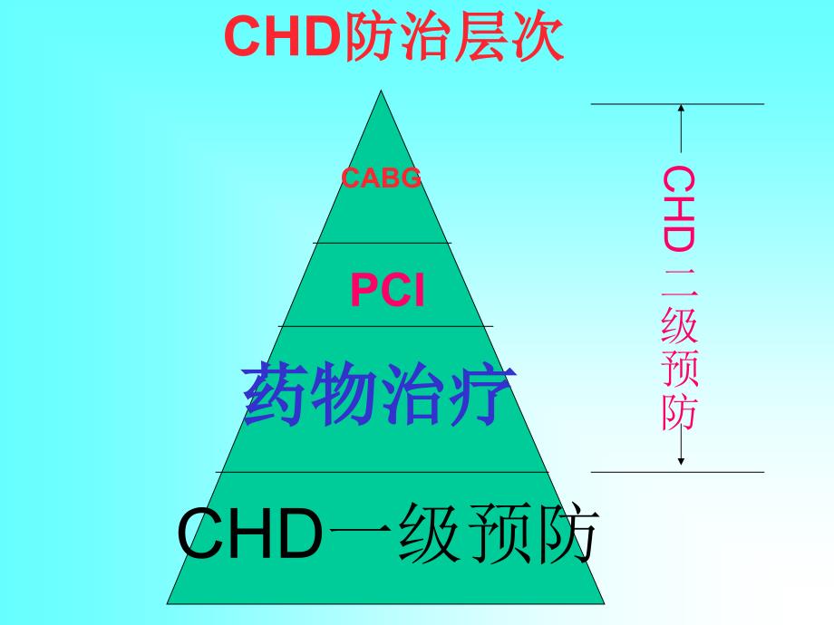 CHD合理用药及误区090331_第2页