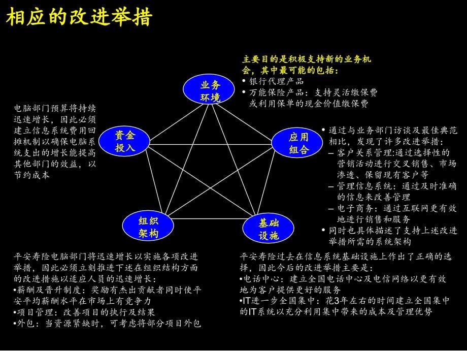 保险信息系统规划咨询报告_第5页