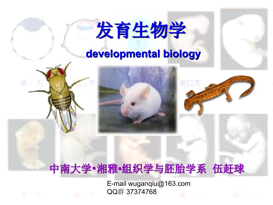 2014发育生物学概论_第1页