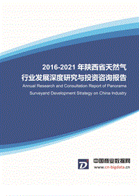 2016-2020年陕西省天然气行业发展预测与投资咨询报告