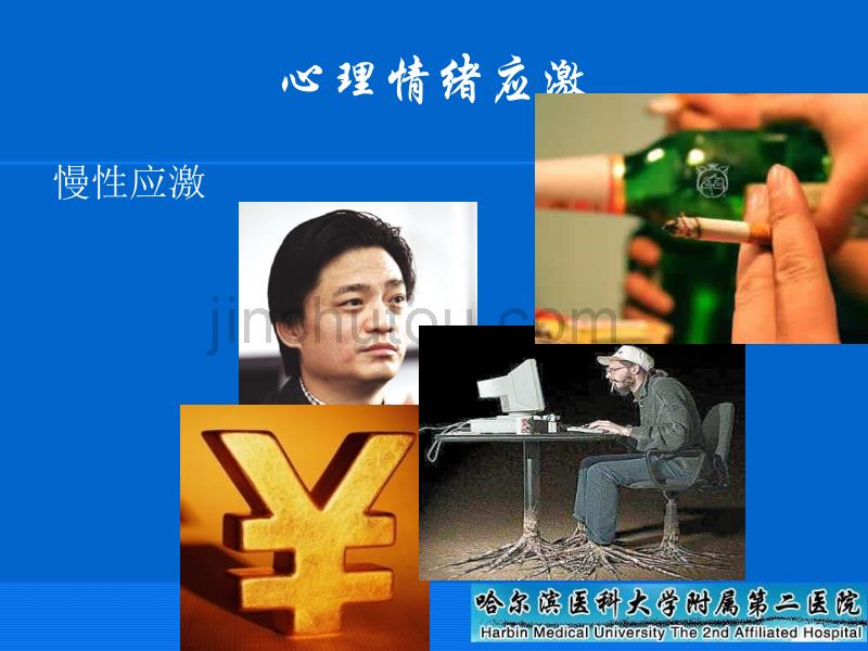 情绪应激与急性心血管疾病 牛春峰_第4页