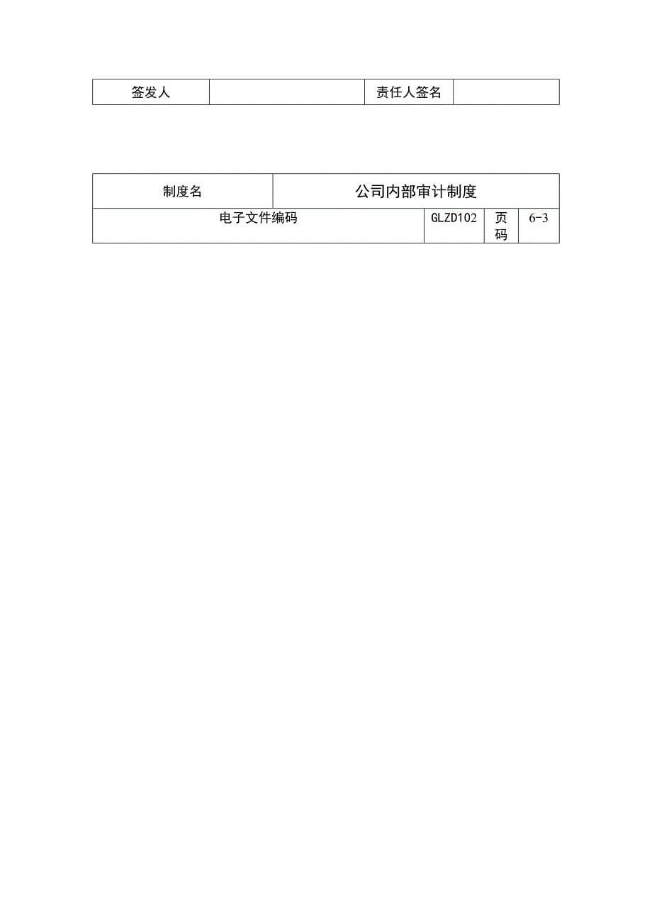 公司内部审计制度_第5页