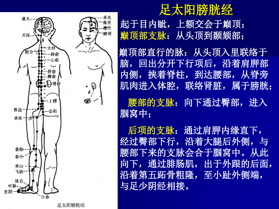 运动医学--关键穴位介绍（5）_第2页