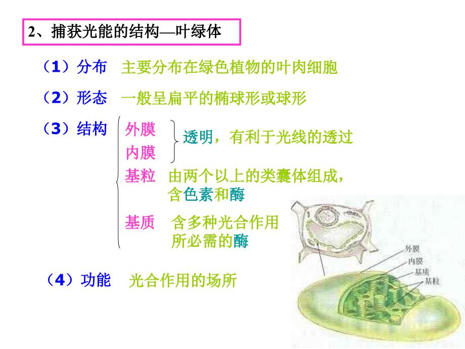 光合作用的原理和应用1_第3页