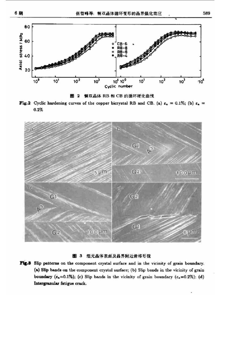 铜双晶体循环变形的晶界强化效应_第3页