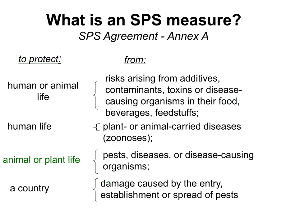 SPS Issues in Globalization_第2页