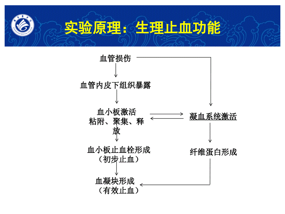 影响血液凝固的因素及其红细胞渗透脆性_第3页