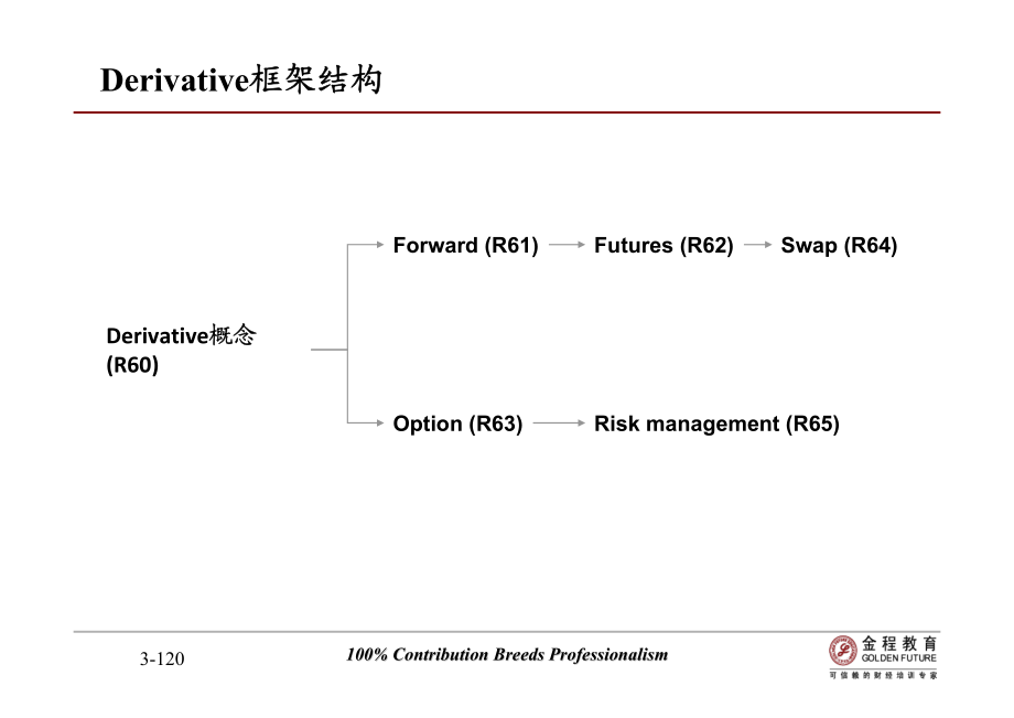 CFA一级衍生证券分析derivative investment讲义_第3页