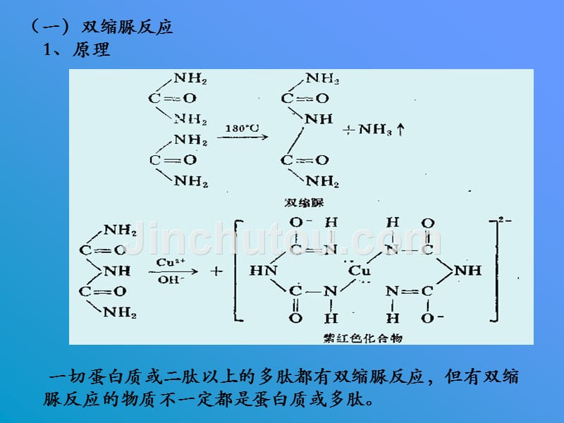 蛋白质和氨基酸的呈色反应-_第3页