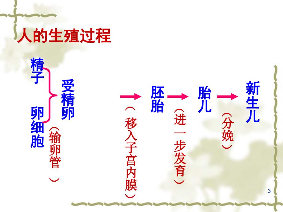 苏教版七下生物复习提纲_第3页