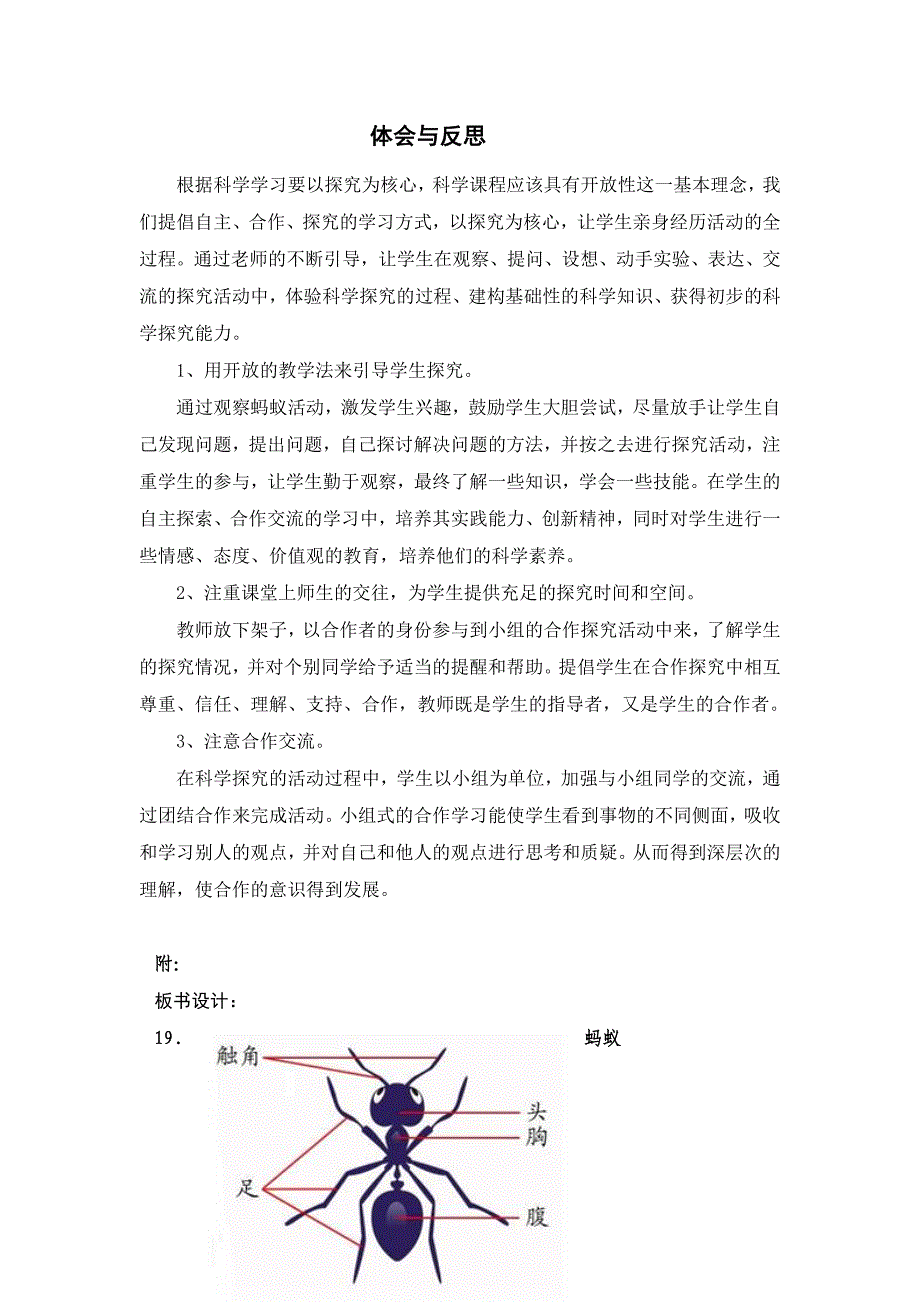 青岛版小学科学三年级下册《蚂蚁》教学反思　_第1页