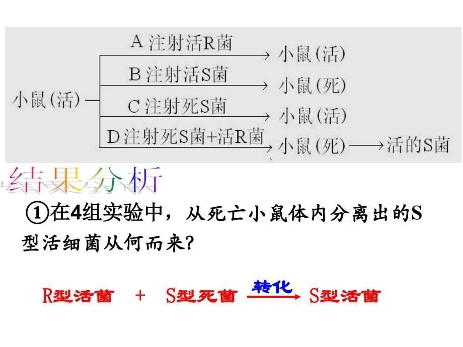 遗传物质复制转录翻译_第5页