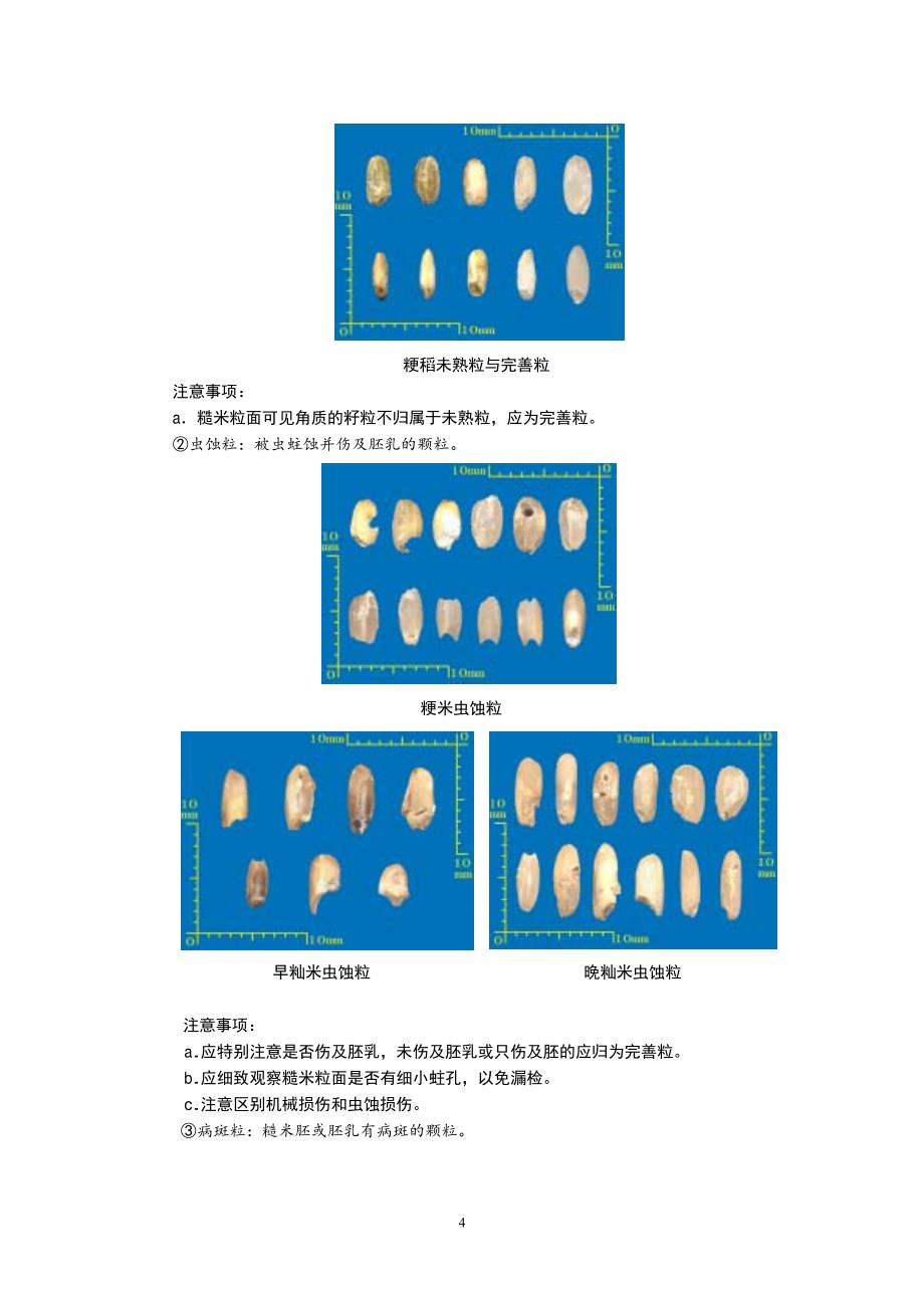 稻谷质量及储存品质检验_第4页